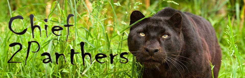 2Panthers Header